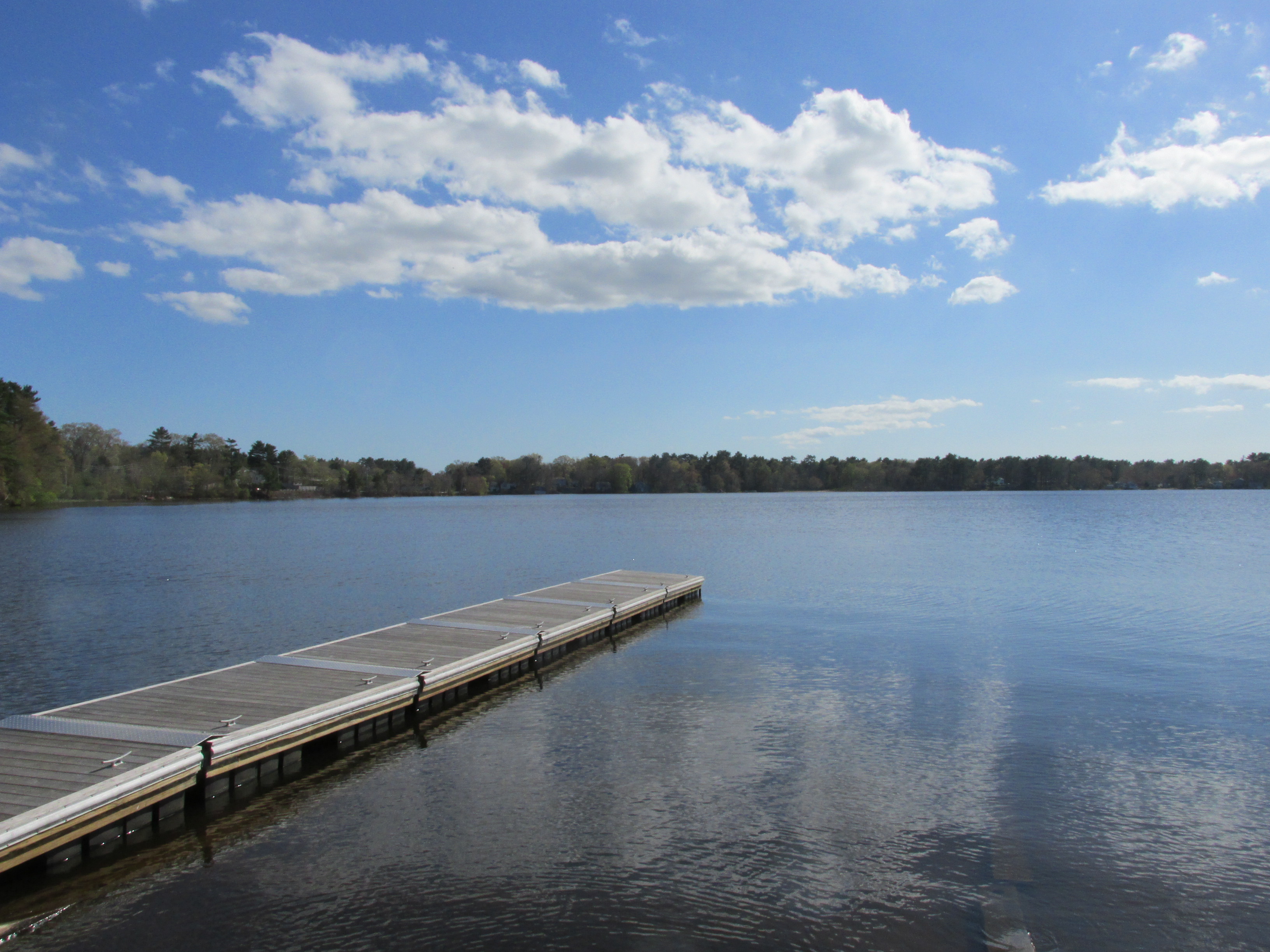 West Monponsett Pond in Halifax, Massachusetts, viewed from Route 58